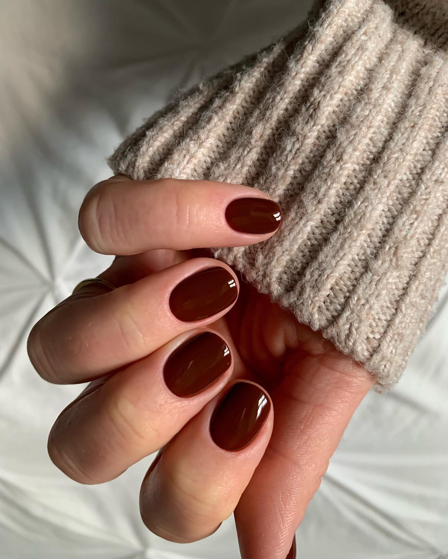 Short Glossy Brown Nails