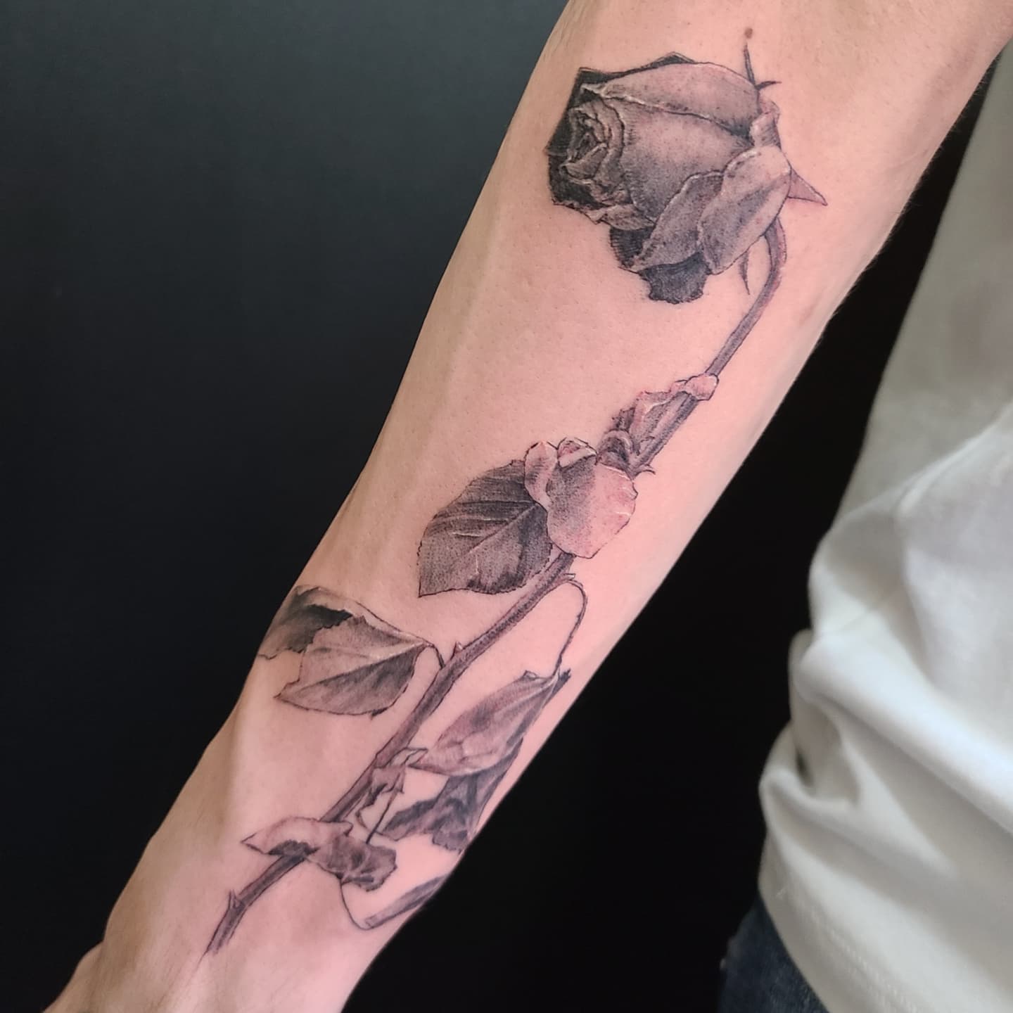 Black and Gray Dead Rose Tattoo on Arm